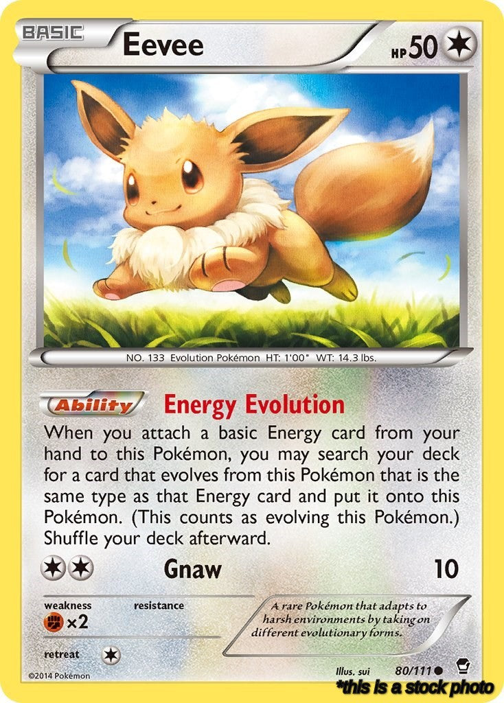 Normal Eevee [80/111 Near Mint ]