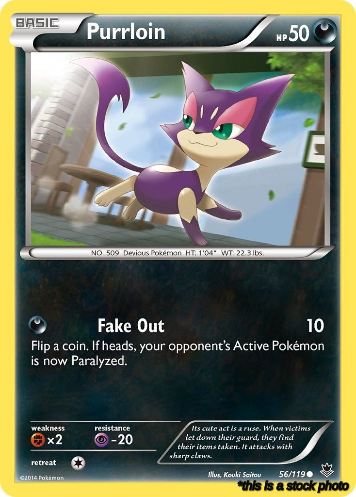 56/119 Purrloin Common Normal