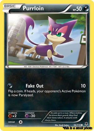 56/119 Purrloin Common Normal
