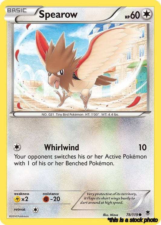 Spearow