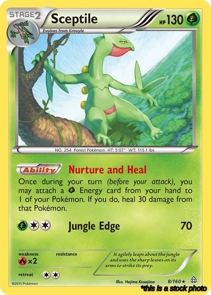 8/160 Sceptile Rare Normal