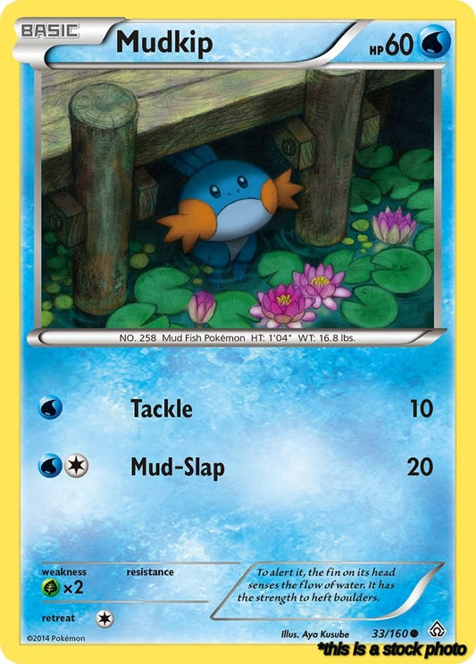 33/160 Mudkip Common Reverse Holofoil