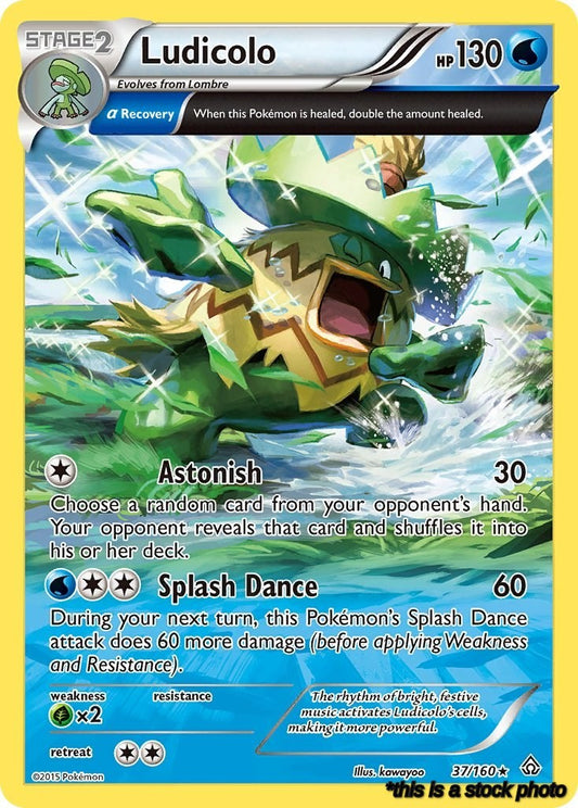 Ludicolo (Alpha)