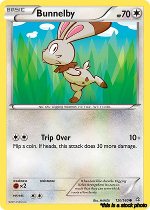 120/160 Bunnelby Common Normal