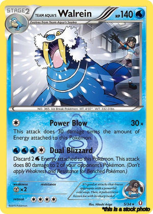 5/34 Team Aqua's Walrein Holo Rare Holofoil