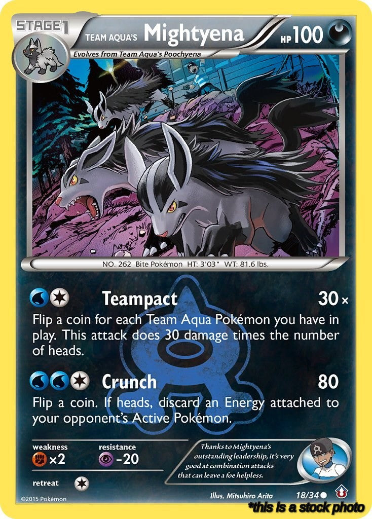 Common Team Aqua's Mightyena [18/34 Moderately Played ]