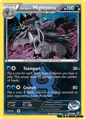 Common Team Aqua's Mightyena [18/34 Lightly Played ]