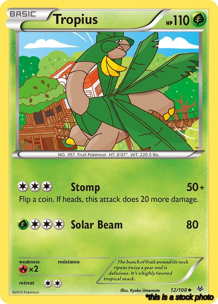 Reverse Holofoil Tropius [12/108 Near Mint ]