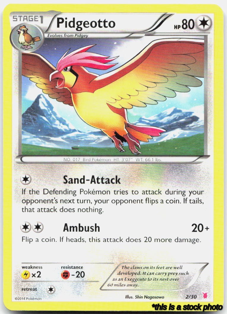 Pidgeotto (#2)