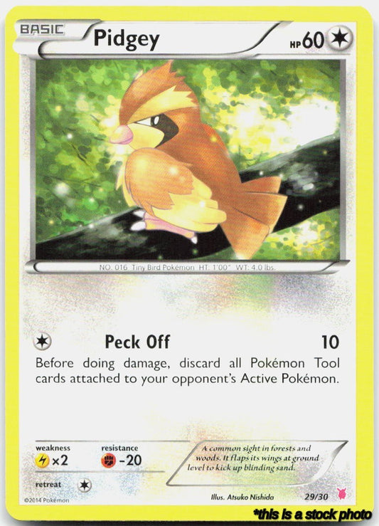 Pidgey (#29)