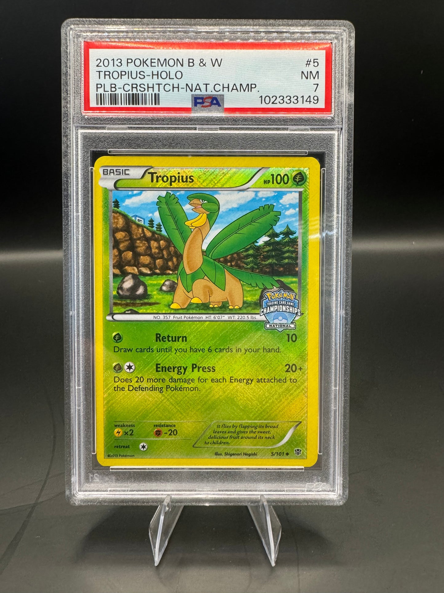 Promo Tropius - 5/101 (National Championships) [005/101 Near Mint ]