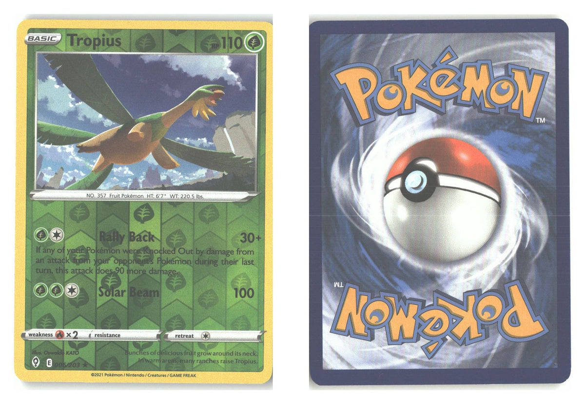 Front + Back scan
