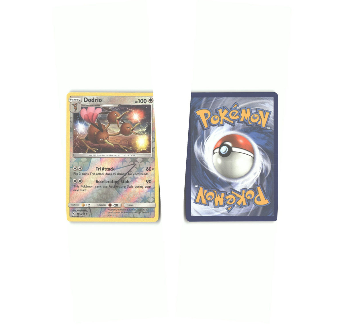 Front + Back scan