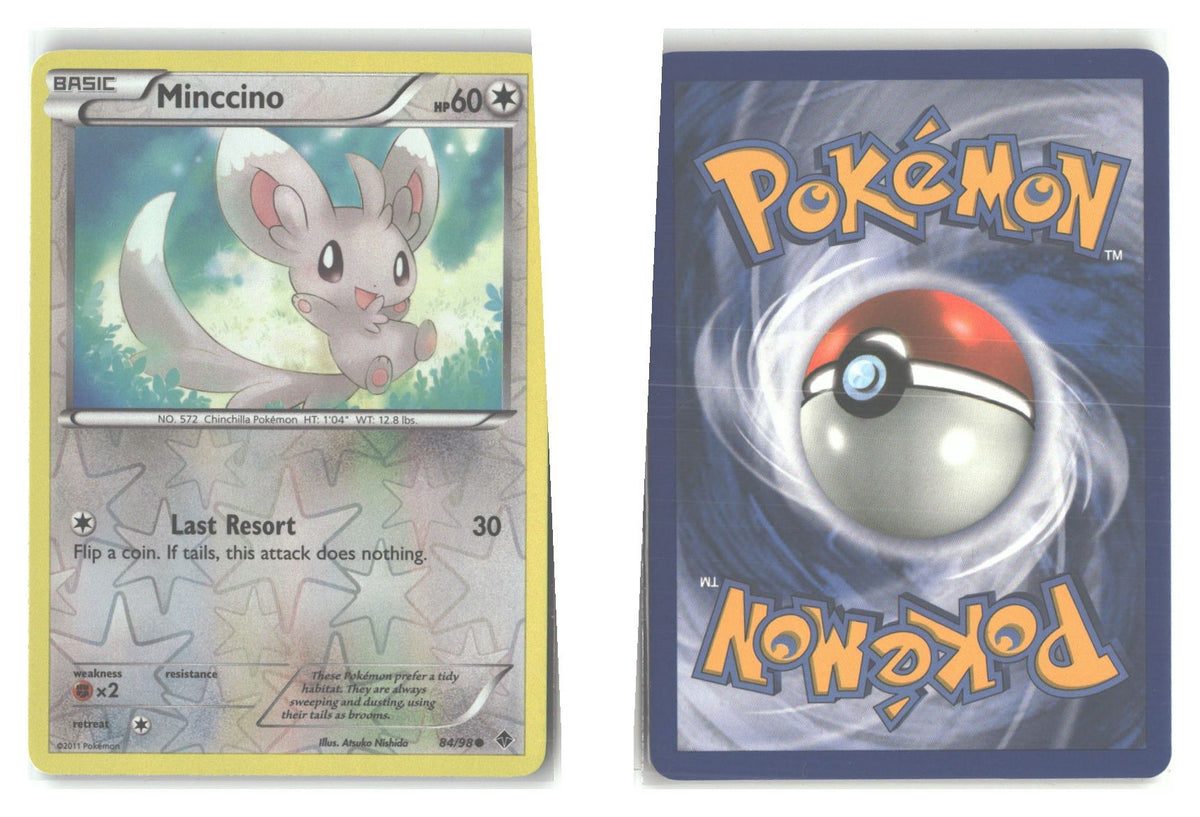 Front + Back scan