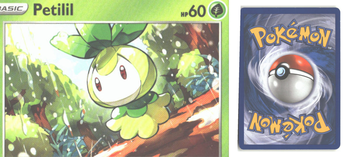 Front + Back scan
