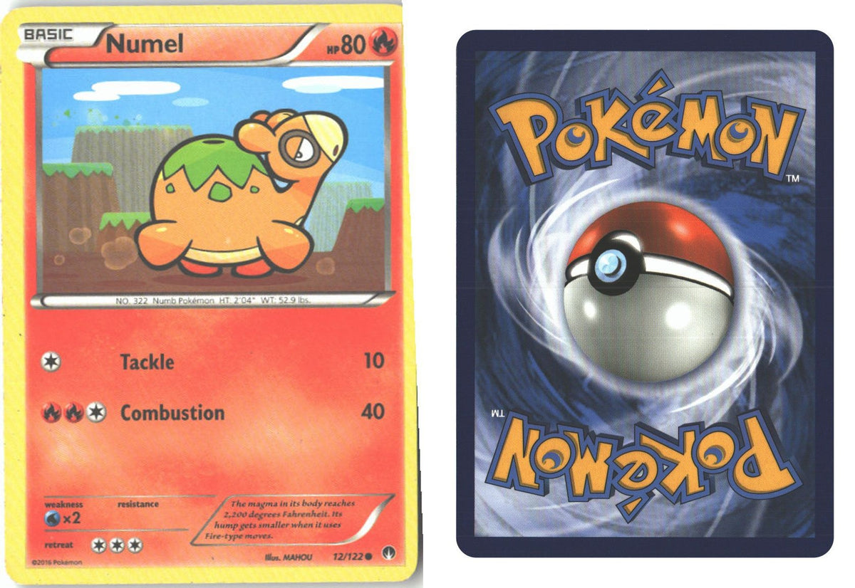 Front + Back scan