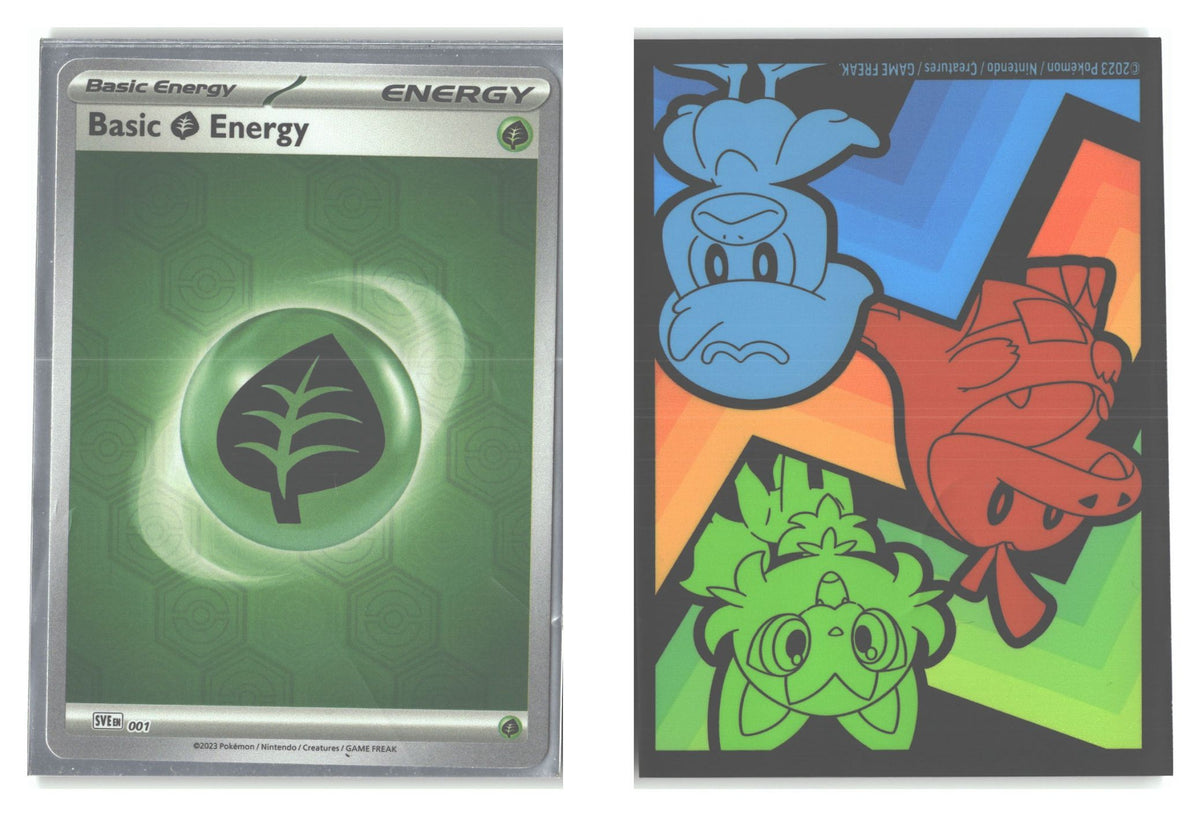 Front + Back scan