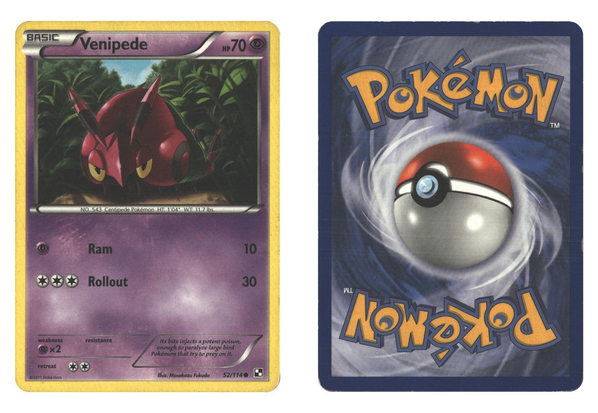 Front + Back scan
