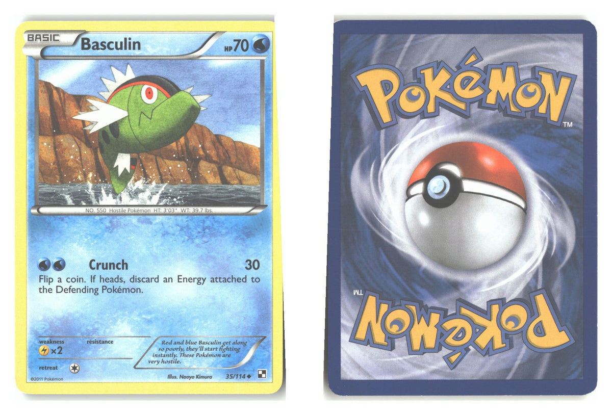 Front + Back scan