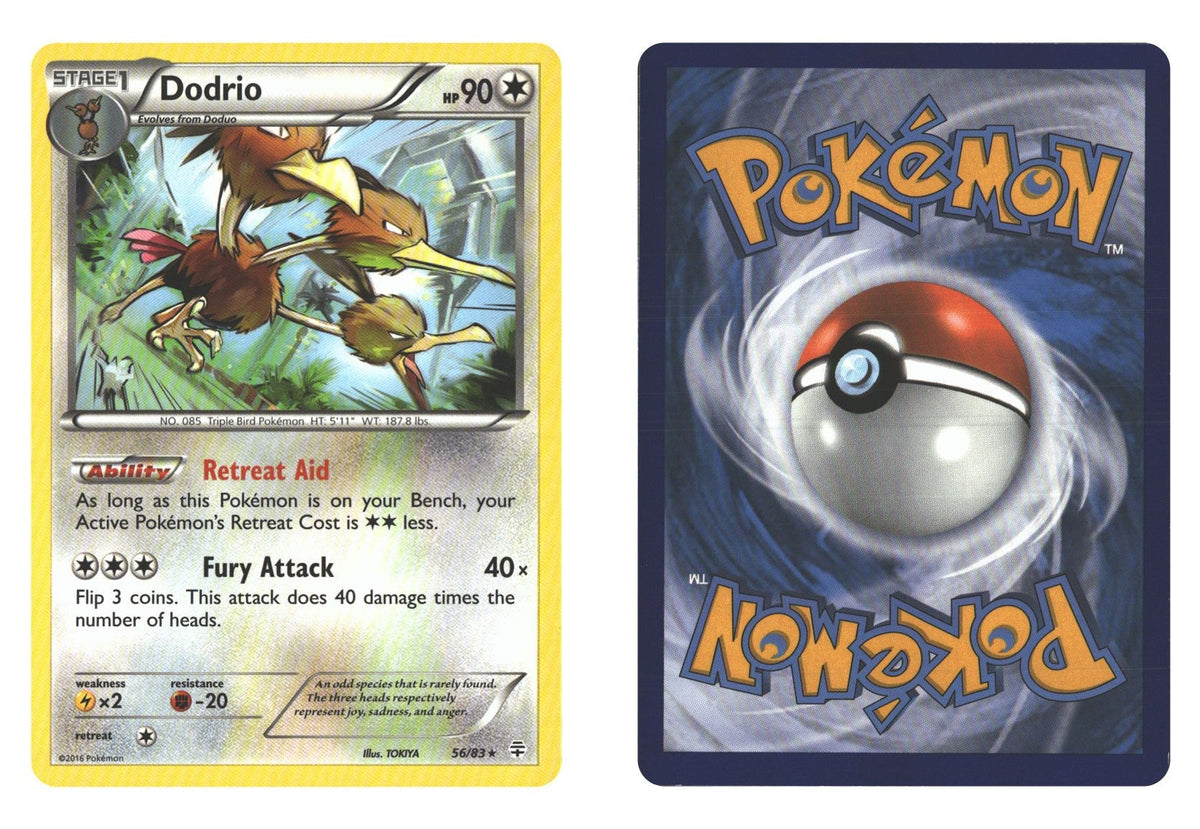Front + Back scan