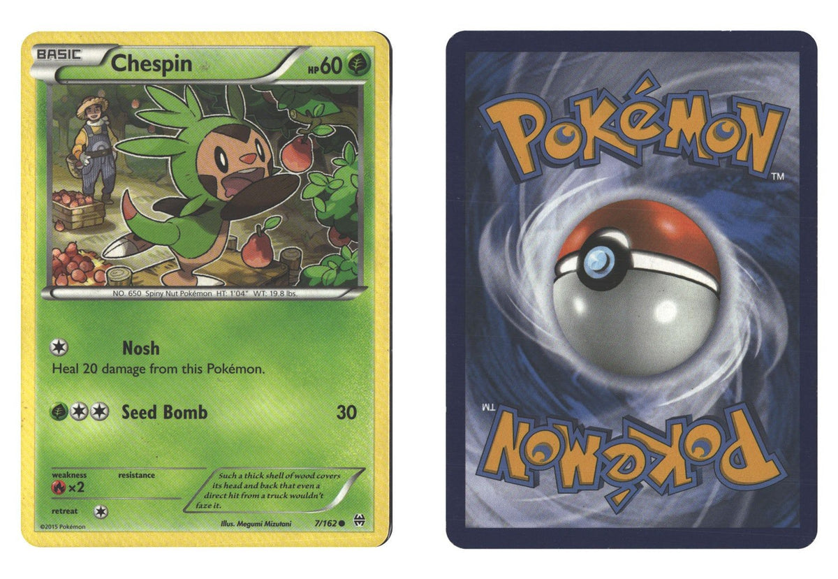Front + Back scan