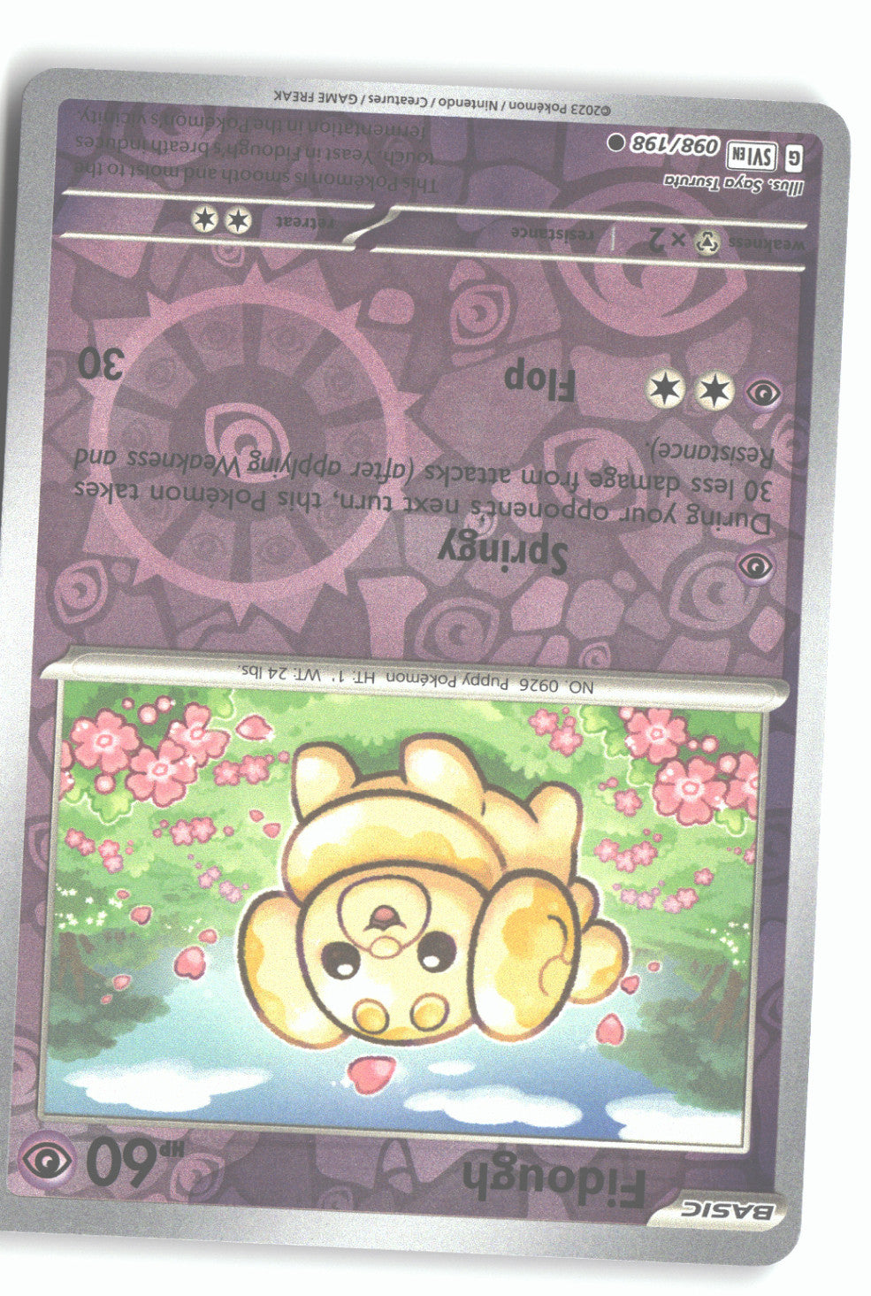 Fidough - 098/198