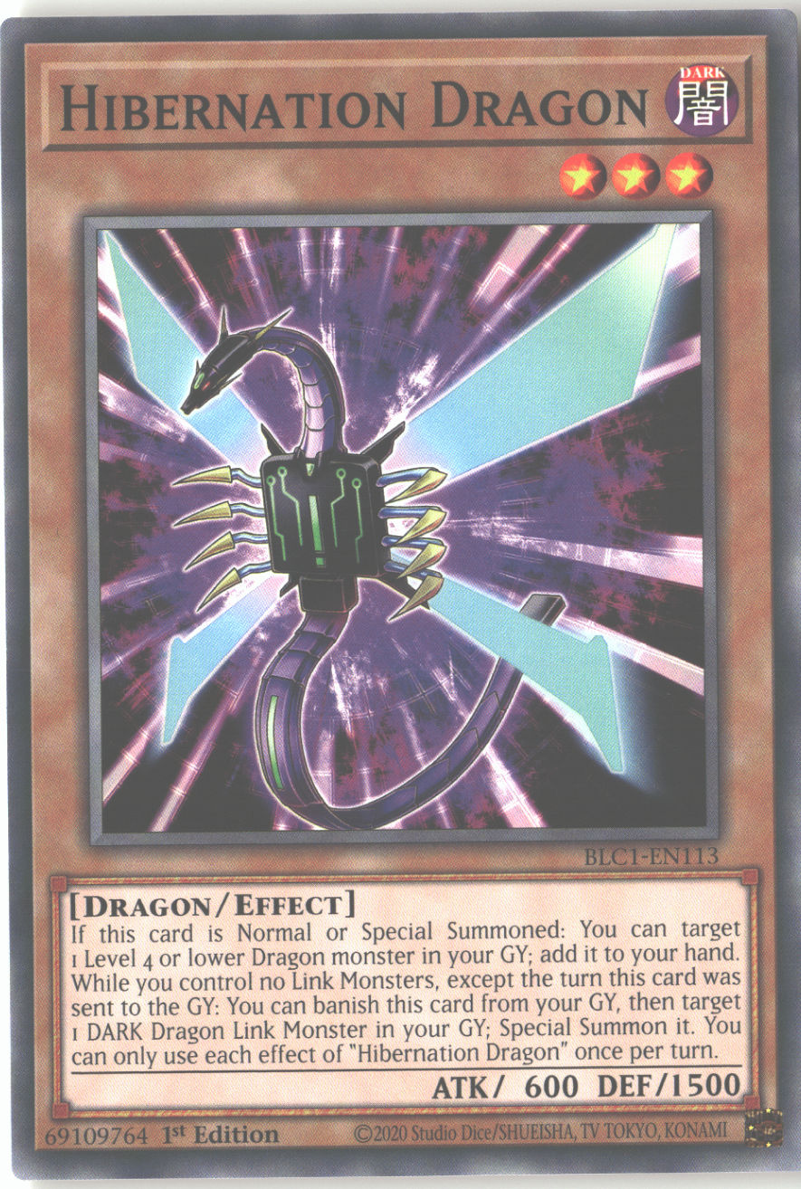 Hibernation Dragon
