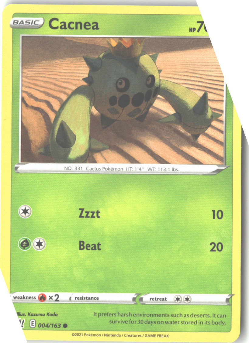 Cacnea