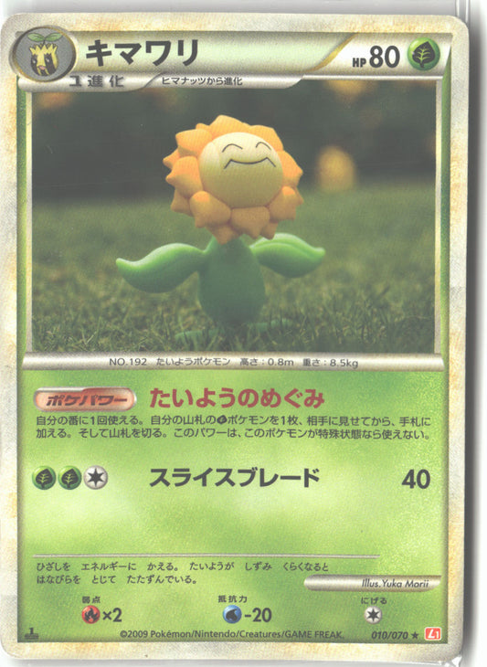 Sunflora