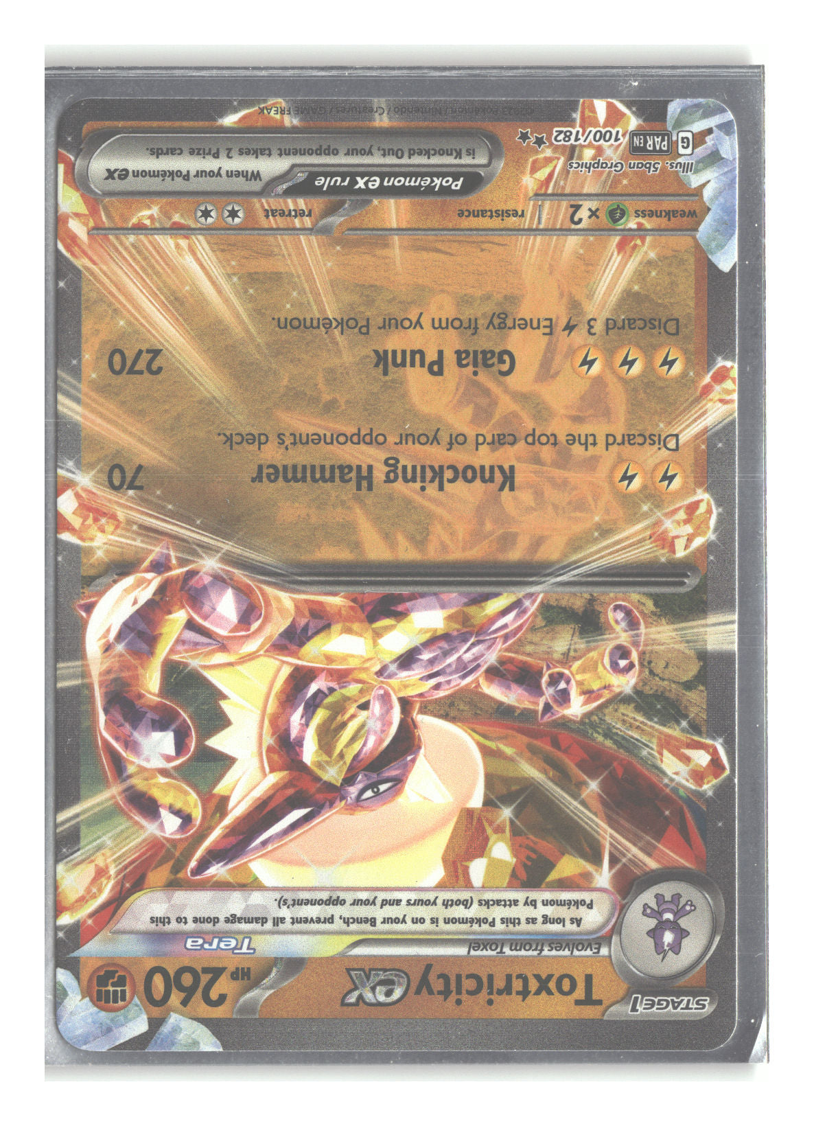 Front + Back scan