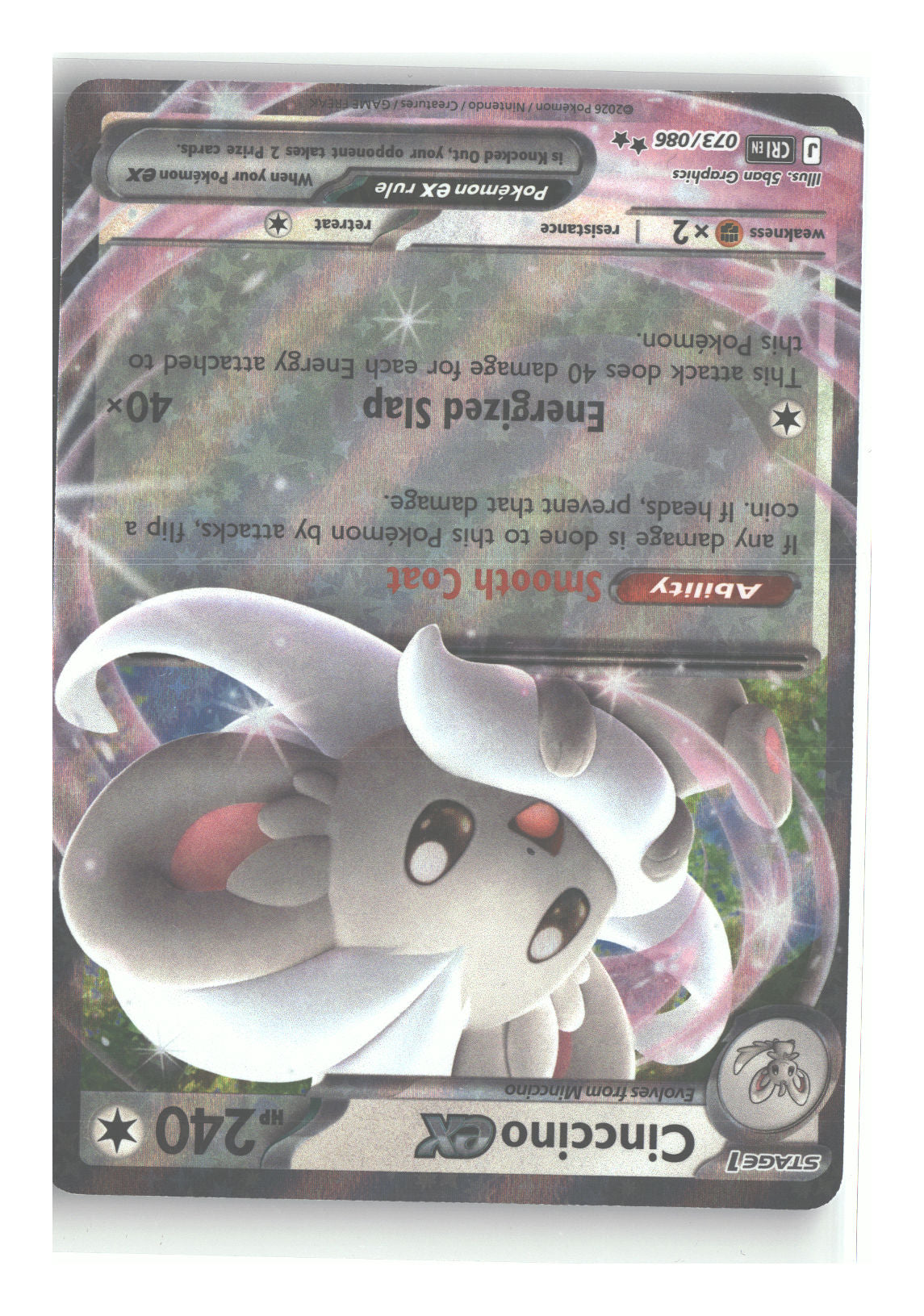 Front + Back scan