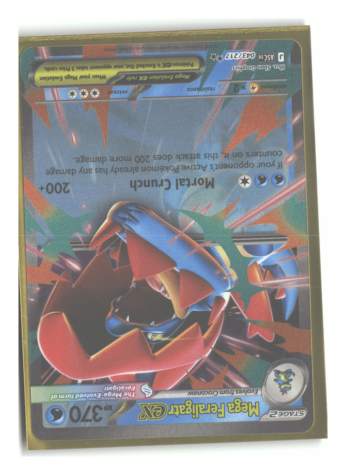 Front + Back scan
