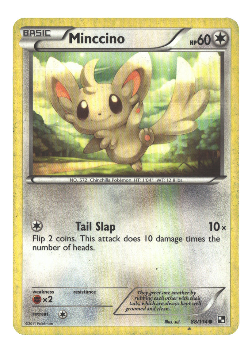 Minccino